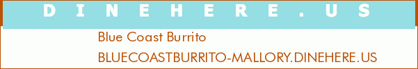 Blue Coast Burrito