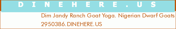 Dim Jandy Ranch Goat Yoga. Nigerian Dwarf Goats For Sale Fort Myers