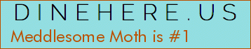 Meddlesome Moth