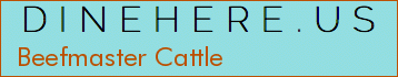 Beefmaster Cattle