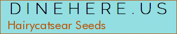 Hairycatsear Seeds