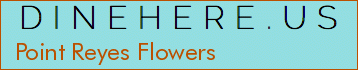 Point Reyes Flowers