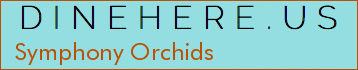 Symphony Orchids