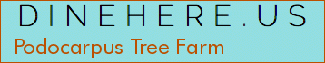 Podocarpus Tree Farm