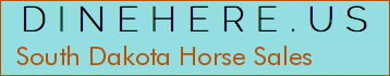 South Dakota Horse Sales